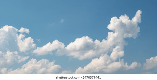 藏精阁